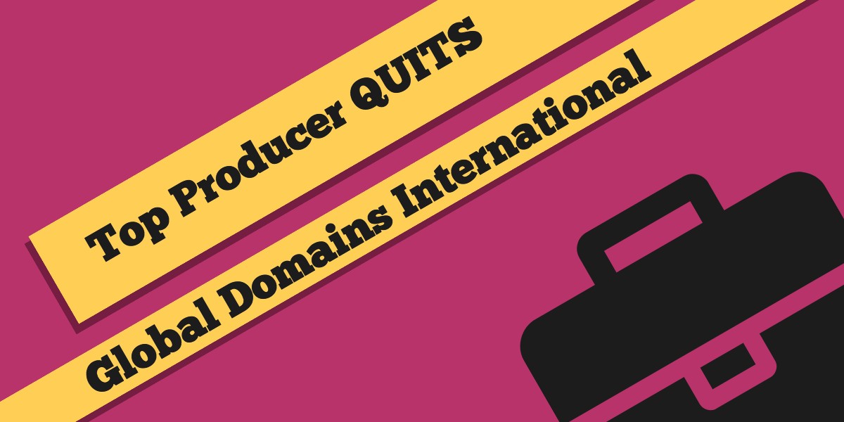Global Domains International Review